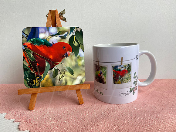 King Parrot Coaster & Mug Set $15