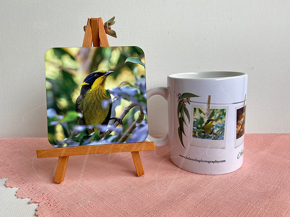 Helmeted Honeyeater Coaster & Mug Set $15