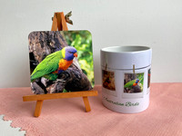 Rainbow Lorikeet Coaster & Mug Set $15