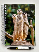 Meerkat Journal $10